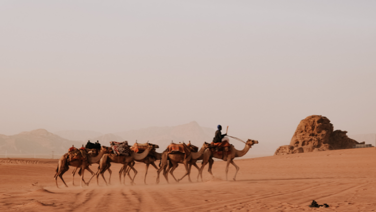 Joyas_de_Egipto_y_Jordania_11_dias